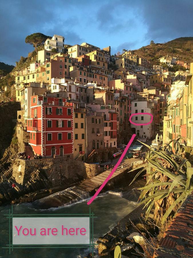 Nel Cuore Del Porticciolo Riomaggiore Exterior photo